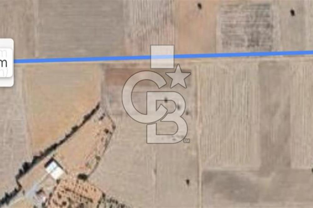 Denizli Çal Denizler Mahallesi Kadastral Yolu Olan Satılık Tarla