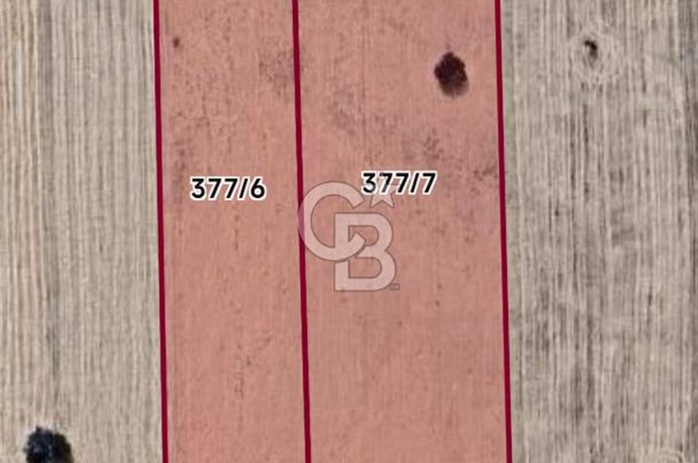 Denizli Çal Denizler Mahallesi Kadastral Yolu Olan Satılık Tarla