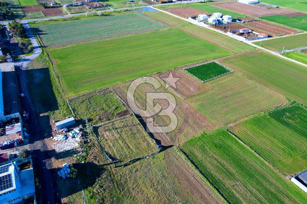 Değirmenköy' de 999 m2 Satılık Arsa Hissesi