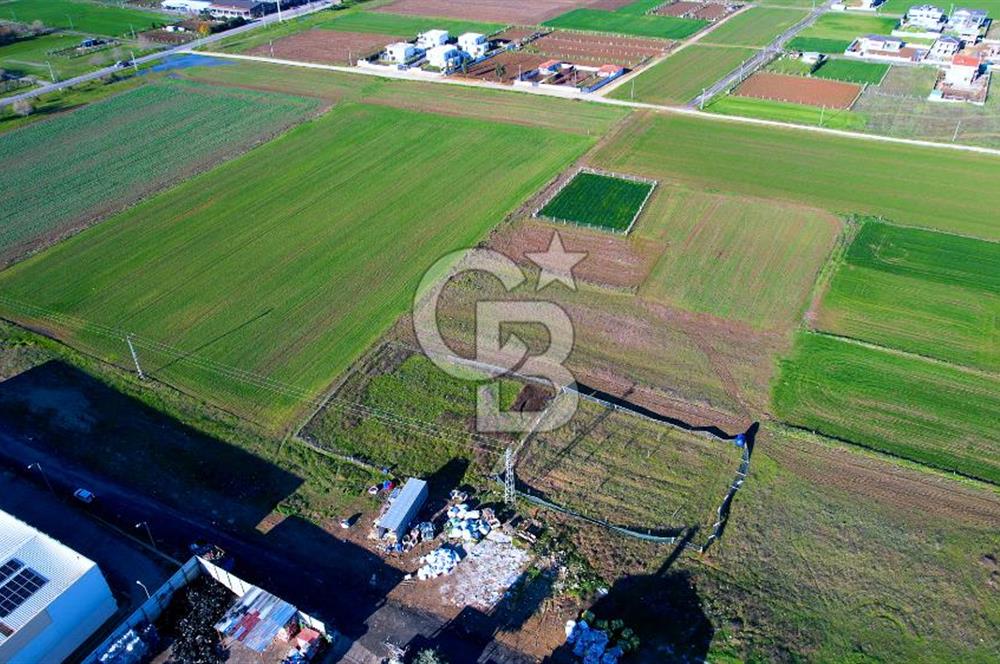 Değirmenköy' de 999 m2 Satılık Arsa Hissesi