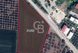 AKHİSAR SEYİTAHMET MH. SİNDE İMARA SIFIR ARAZİ - 1 - 331528