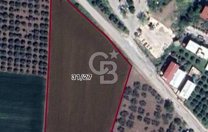 AKHİSAR SEYİTAHMET MH. SİNDE İMARA SIFIR ARAZİ