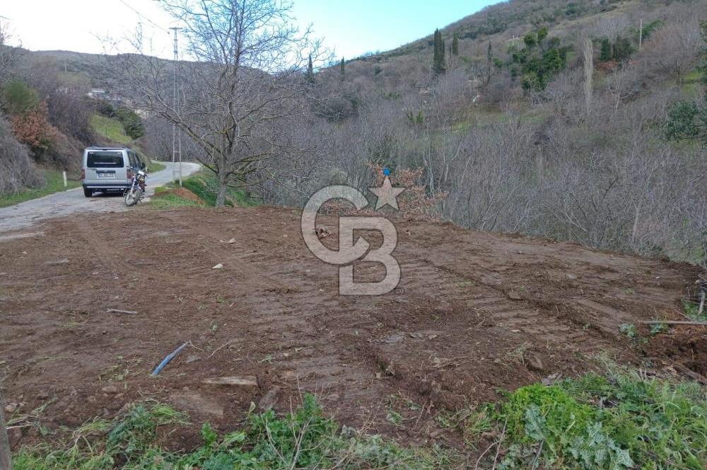 İzmir Tire Büyükkemerdere Satılık Asfalt Yola Cepheli Bahçe