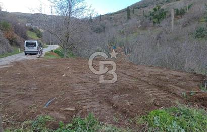 İzmir Tire Büyükkemerdere Satılık Asfalt Yola Cepheli Bahçe