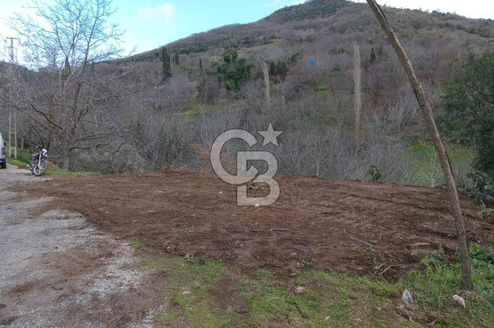İzmir Tire Büyükkemerdere Satılık Asfalt Yola Cepheli Bahçe