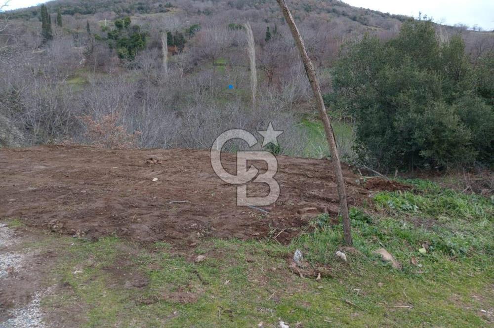 İzmir Tire Büyükkemerdere Satılık Asfalt Yola Cepheli Bahçe