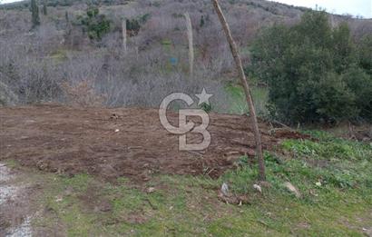 İzmir Tire Büyükkemerdere Satılık Asfalt Yola Cepheli Bahçe