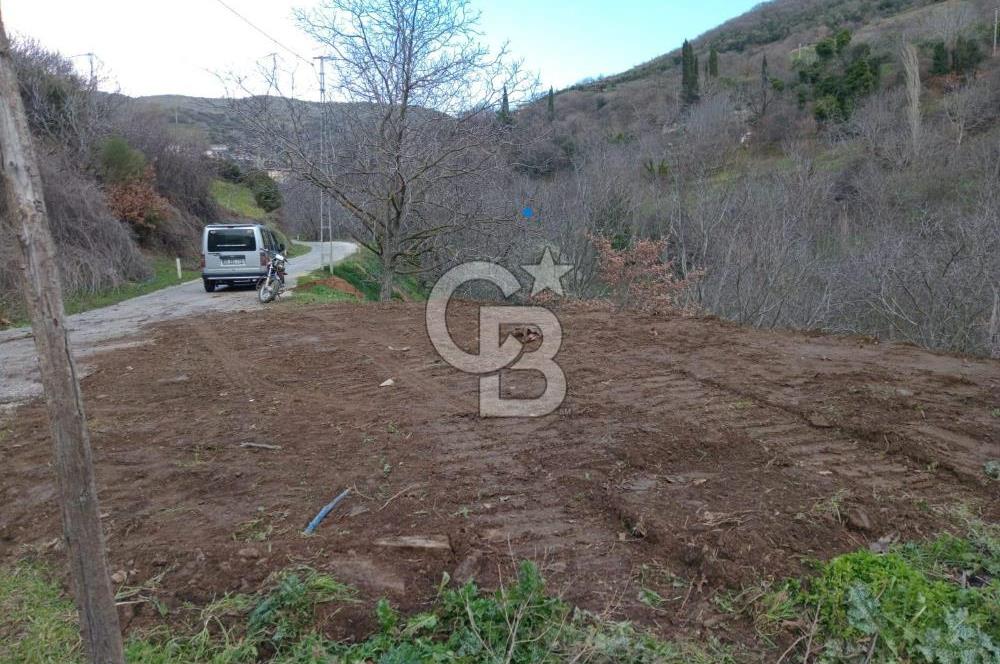 İzmir Tire Büyükkemerdere Satılık Asfalt Yola Cepheli Bahçe