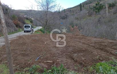 İzmir Tire Büyükkemerdere Satılık Asfalt Yola Cepheli Bahçe