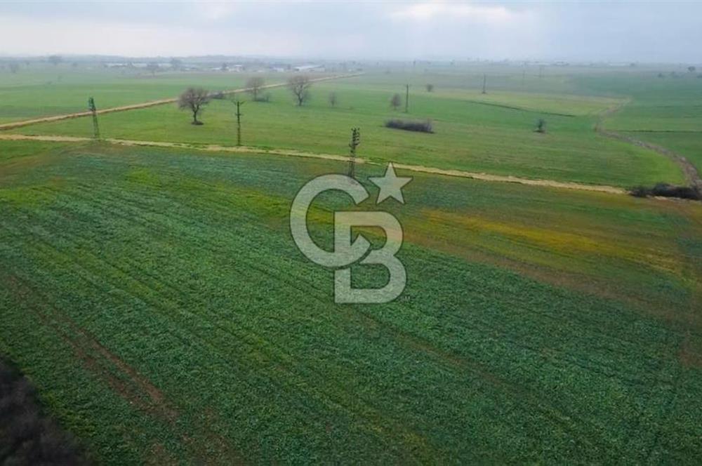 ÇANAKKALE BİGA GÖKTEPE BURSA YOLUNA YAKIN SATILIK 16574 M2 TARLA