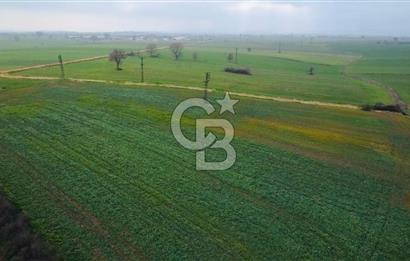 ÇANAKKALE BİGA GÖKTEPE BURSA YOLUNA YAKIN SATILIK 16574 M2 TARLA