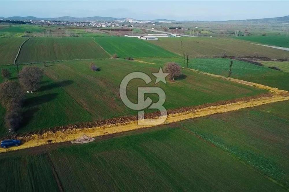 ÇANAKKALE BİGA GÖKTEPE BURSA YOLUNA YAKIN SATILIK 16574 M2 TARLA