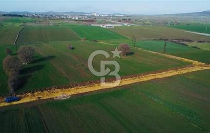 ÇANAKKALE BİGA GÖKTEPE BURSA YOLUNA YAKIN SATILIK 16574 M2 TARLA