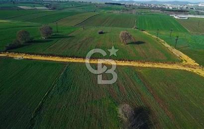 ÇANAKKALE BİGA GÖKTEPE BURSA YOLUNA YAKIN SATILIK 16574 M2 TARLA