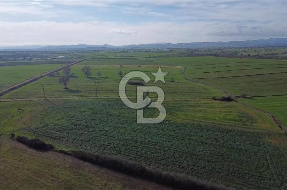 ÇANAKKALE BİGA GÖKTEPE BURSA YOLUNA YAKIN SATILIK 16574 M2 TARLA