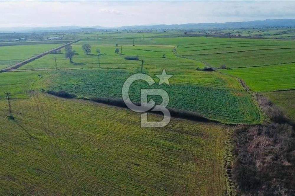 ÇANAKKALE BİGA GÖKTEPE BURSA YOLUNA YAKIN SATILIK 16574 M2 TARLA