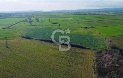 ÇANAKKALE BİGA GÖKTEPE BURSA YOLUNA YAKIN SATILIK 16574 M2 TARLA