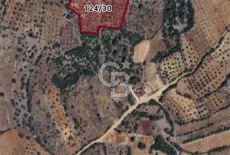 MUĞLA MENTEŞE DENİZOVADA SATILIK 6 DÖNÜM TARLA - 1 - 331616