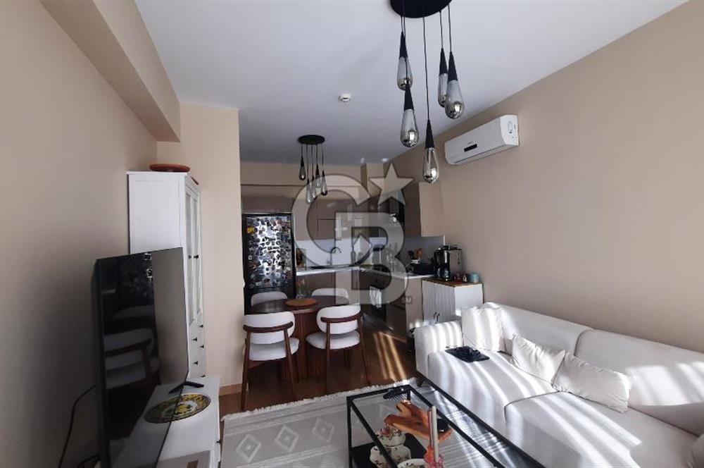 CB Time'dan Kadıköy Fikirtepe Baysaş İstanbul 216 2E-Boş Teslim-