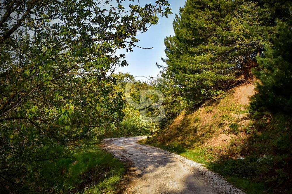 ÇANAKKALE ÇAN ESKİYAYLA KÖYÜN'DE SATILIK ARSA