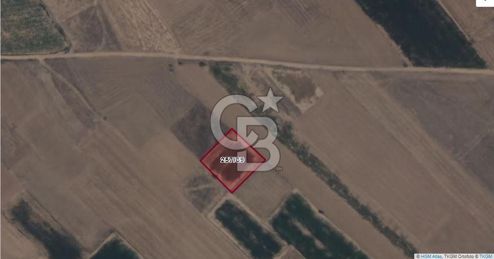 Afyon-Dazkırı Esentepe Mah.İncesay Mevkiinde 1.982 m² Satılık Tarla
