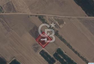 Afyon-Dazkırı Esentepe Mah.İncesay Mevkiinde 1.982 m² Satılık Tarla - 3 - 331623