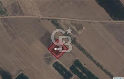 Afyon-Dazkırı Esentepe Mah.İncesay Mevkiinde 1.982 m² Satılık Tarla