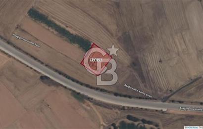 Afyon-Dazkırı Esentepe Mah.Başmakçı Yolu Yanı 1.968 m² Fırsat Satılık Tarla