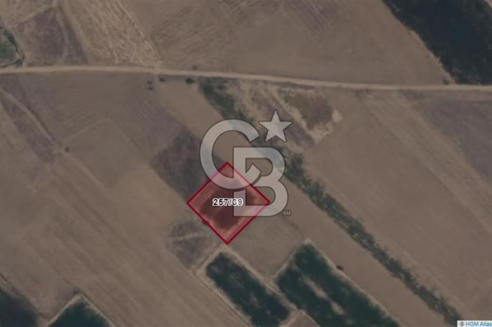 Afyon-Dazkırı Esentepe Mah.İncesay Mevkiinde 1.982 m² Satılık Tarla