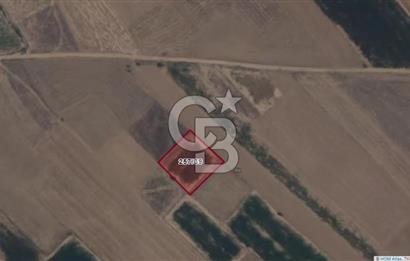 Afyon-Dazkırı Esentepe Mah.İncesay Mevkiinde 1.982 m² Satılık Tarla