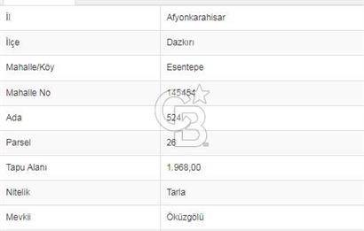 Afyon-Dazkırı Esentepe Mah.Başmakçı Yolu Yanı 1.968 m² Fırsat Satılık Tarla