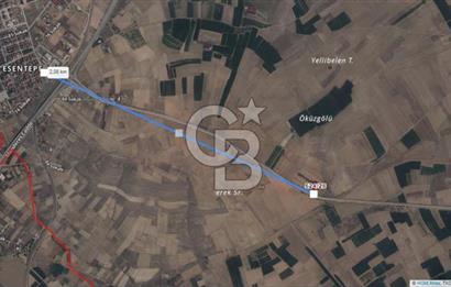 Afyon-Dazkırı Esentepe Mah.Başmakçı Yolu Yanı 1.968 m² Fırsat Satılık Tarla