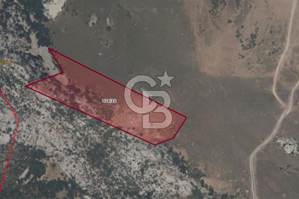 Karaburun Satılık Tarla