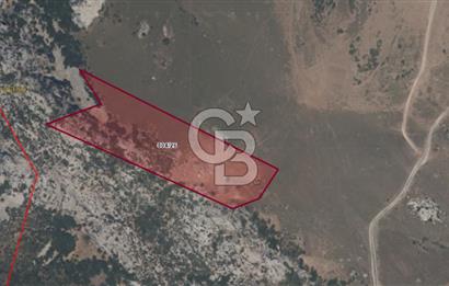 Karaburun Satılık Tarla