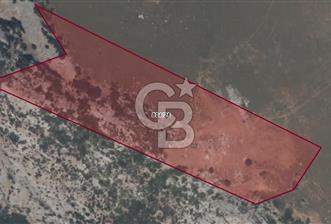 Karaburun Satılık Tarla - 6 - 331784