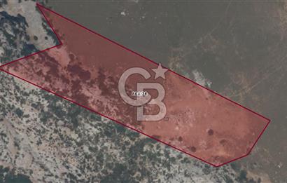 Karaburun Satılık Tarla