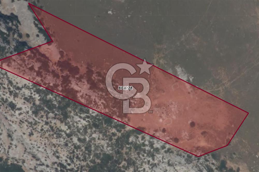 Karaburun Satılık Tarla