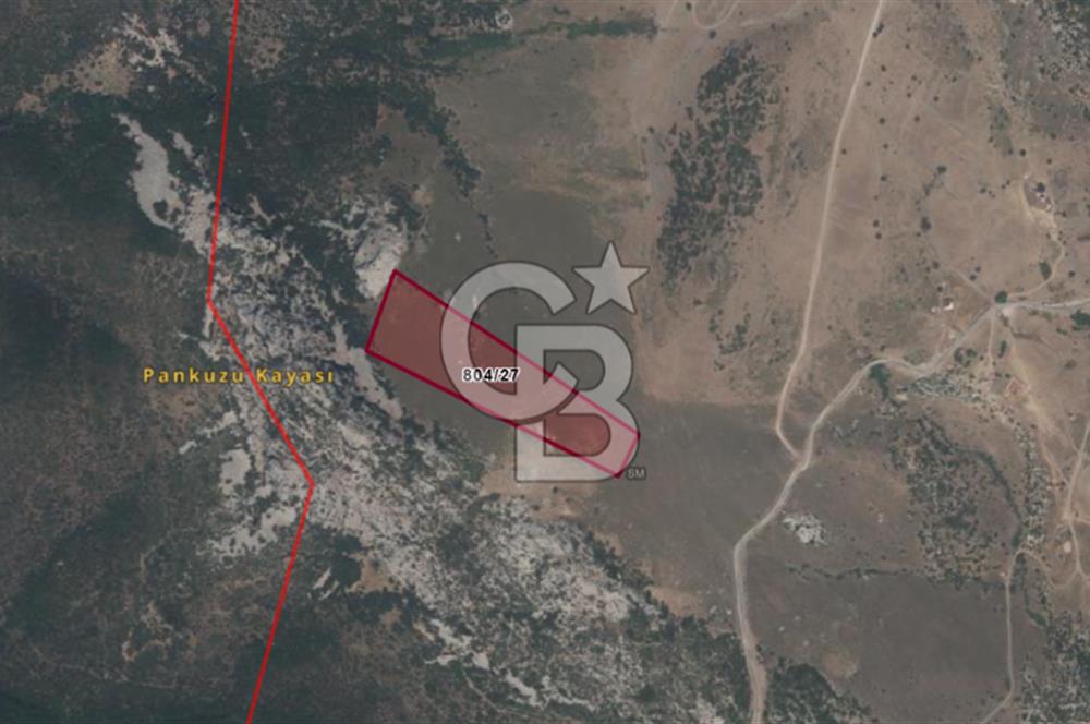 Karaburun Satılık Tarla