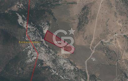 Karaburun Satılık Tarla