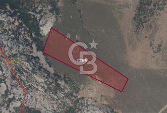 Karaburun Satılık Tarla - 7 - 331642