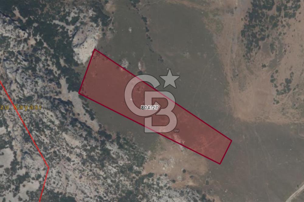 Karaburun Satılık Tarla