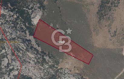 Karaburun Satılık Tarla