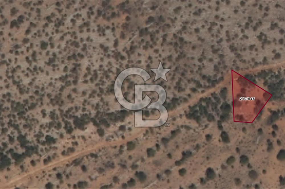 MUSELAND-KARAMAN DA YATIRIMLIK SATILIK BAĞ 867M2 LİK 