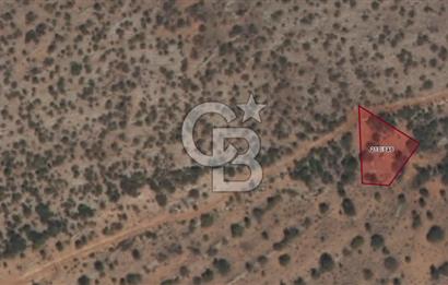 MUSELAND-KARAMAN DA YATIRIMLIK SATILIK BAĞ 867M2 LİK 