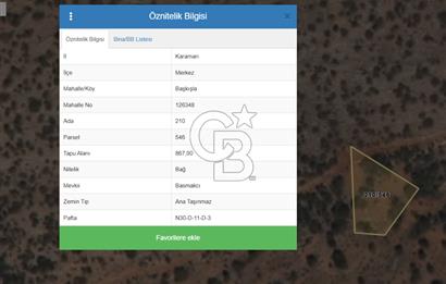 MUSELAND-KARAMAN DA YATIRIMLIK SATILIK BAĞ 867M2 LİK 