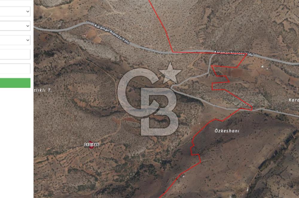 MUSELAND-KARAMAN DA YATIRIMLIK SATILIK BAĞ 867M2 LİK 