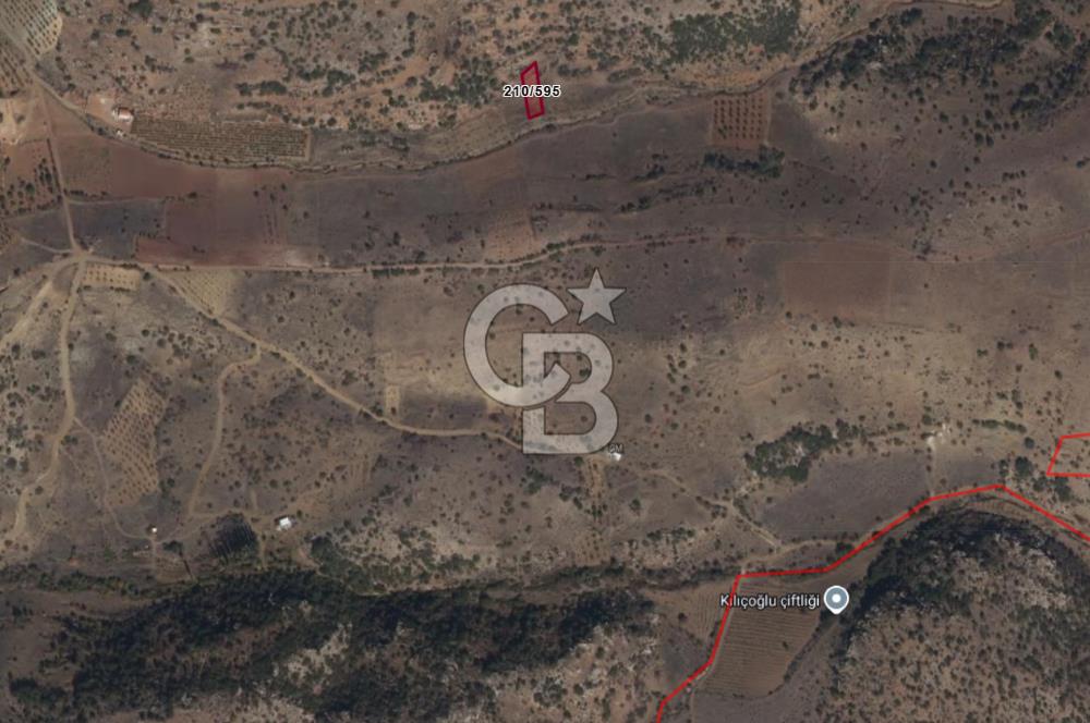 MUSELAND-KARAMAN BAŞKIŞLA DA SATILIK 580M2 BAĞ