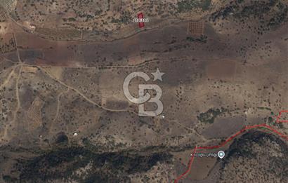 MUSELAND-KARAMAN BAŞKIŞLA DA SATILIK 580M2 BAĞ