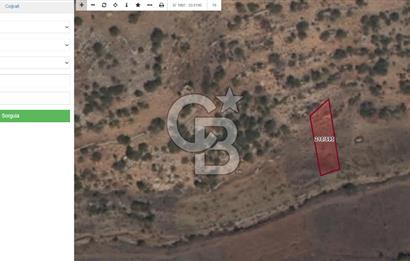 MUSELAND-KARAMAN BAŞKIŞLA DA SATILIK 580M2 BAĞ