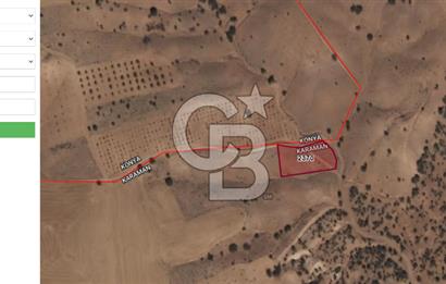 MUSELAND-KARAMAN BOZKANDAK DA 1717M2 SATILIK BAĞ